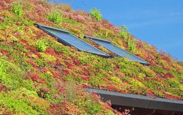 Mogworthy living roof systems
