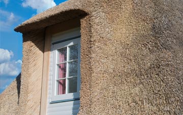 Mogworthy thatch roof disadvantages